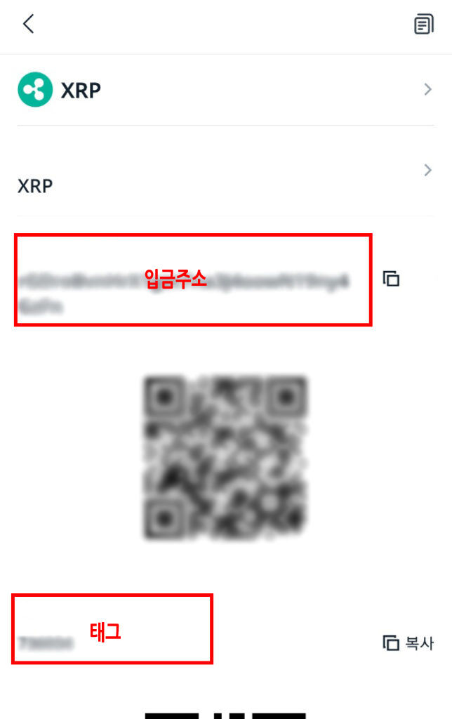 비트겟 리플 입금 주소 및 태그