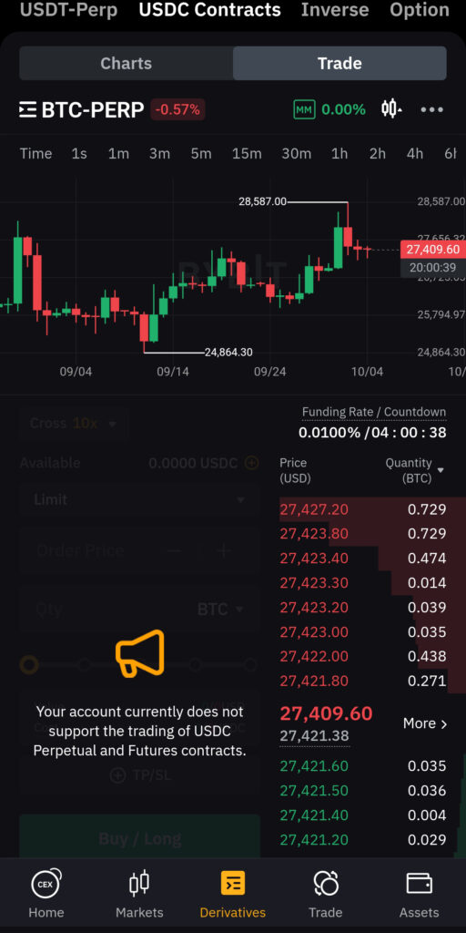 바이비트 옵션 usdc