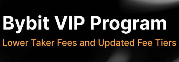 BYBIT VIP