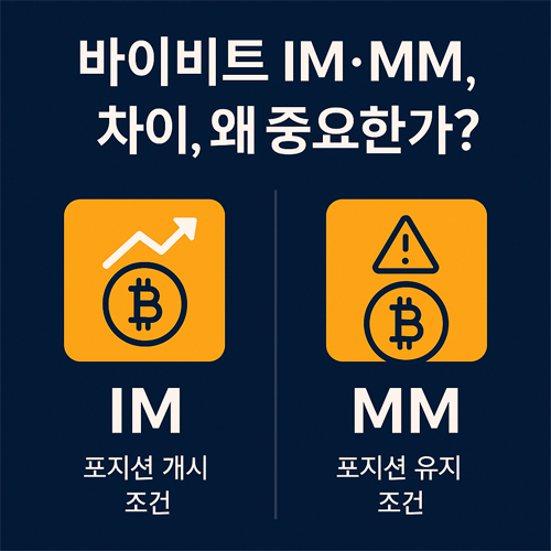 바이비트 IM과 MM 비교 이미지