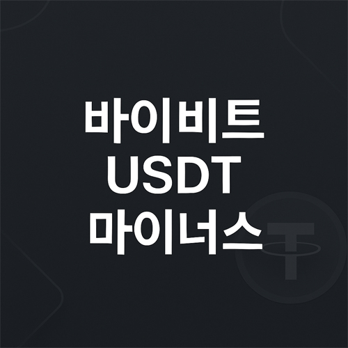 바이비트 USDT 마이너스 안내 이미지